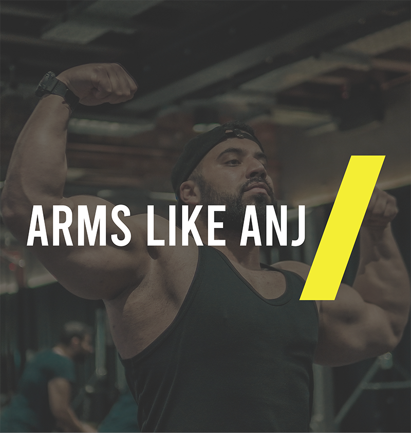 ARMS LIKE ANJ-1